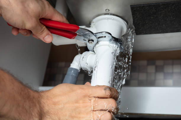 Best Flood damage cleanup  in Petersburg, IL