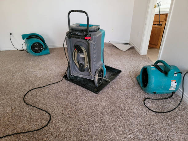 Best Fire Damage Restoration  in Petersburg, IL