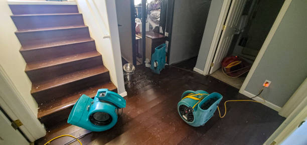 Best Water damage restoration near me  in Petersburg, IL
