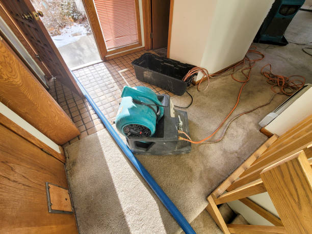 Trusted IL Water damage restoration Experts