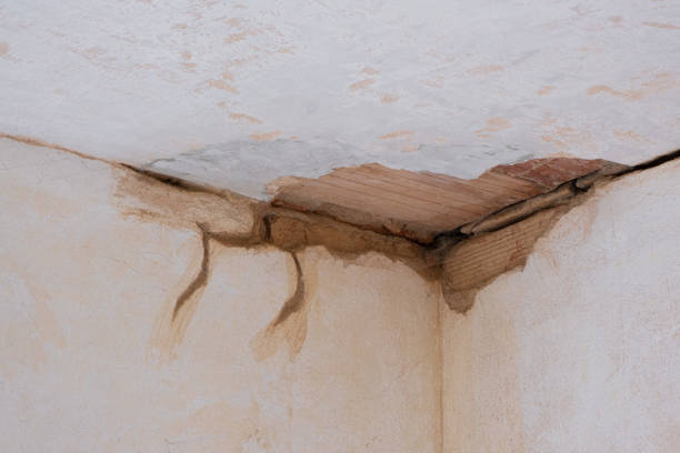 Best Ceiling water damage repair  in Petersburg, IL